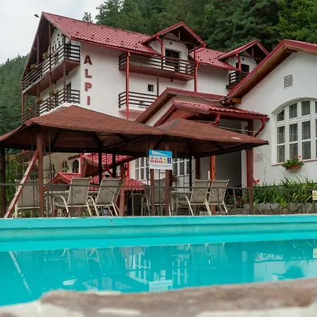 Pensiunea Alpin-3